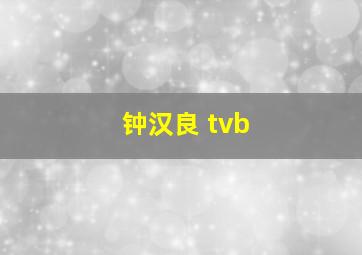 钟汉良 tvb